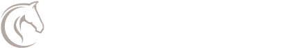 El Reflejo